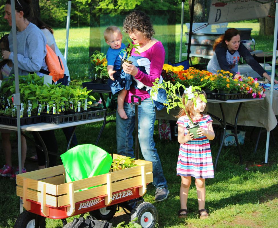 South Madison Farmers Market Has New >> Madison City Farmers Market Home South Madison Farmers Market Has New >> Madison City Farmers Market Home
